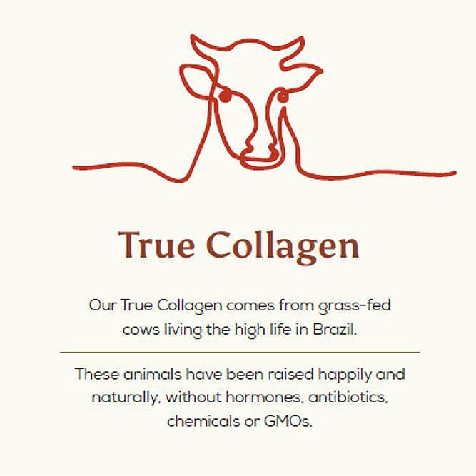 ANCIENT and BRAVE Grass Fed True Collagen Box 15 x 5g