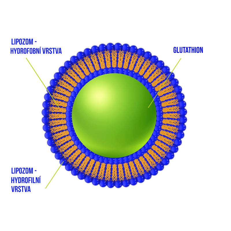 EKOLIFE NATURA Liposomal Glutathione 30 kapslí