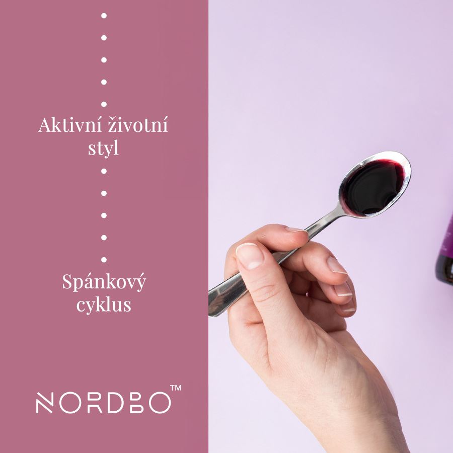 Nordbo Elderberry Kids 120ml (Extrakt z černého bezu pro děti)