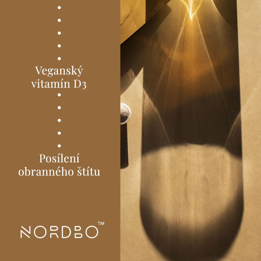 Nordbo Vitamin D3, C and Zink Kids 53 g SK