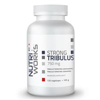 Tribulus Terrestris 750mg 120 kapslí