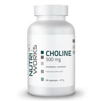 Choline 500mg 90 kapslí