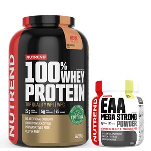 100% Whey Protein 2,25kg NEW ledová káva + EAA Mega Strong Powder 300g ZDARMA