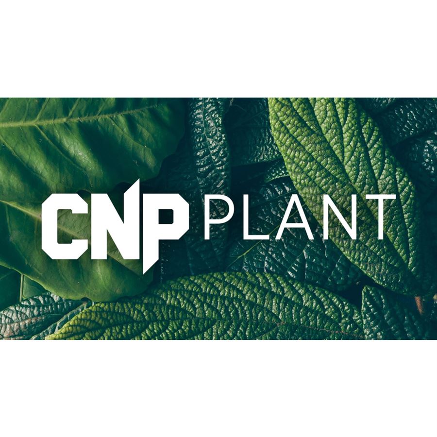 Plant Protein 900g chocolate peanut