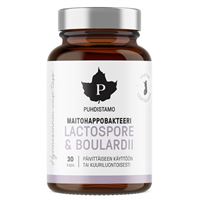 Lactic Acid Bacteria Boulardii 30 kapslí (Probiotika LactoSpore® a Lynside®)