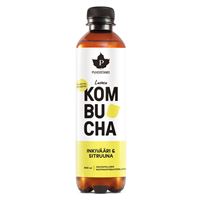 Kombucha BIO 400 ml ginger lemon (Inkivääri-Sitruuna)