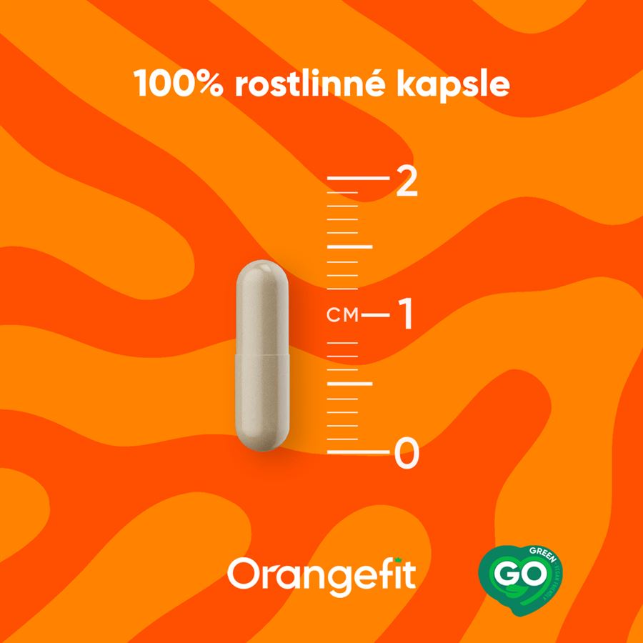 Vitamine C with Bioperine 90 kapslí