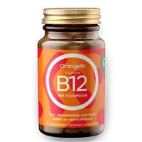 Vitamine B12 with Folic Acid 90 pastilek