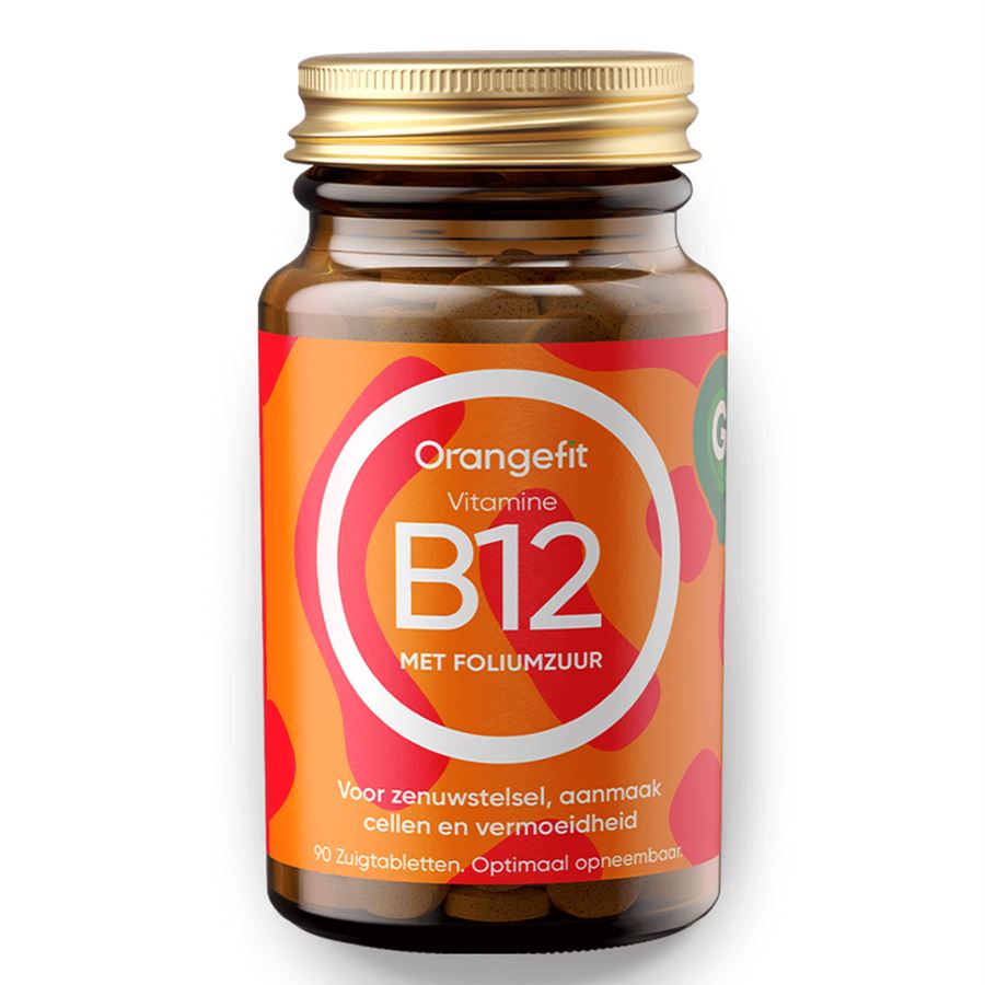 Vitamine B12 with Folic Acid 90 pastilek