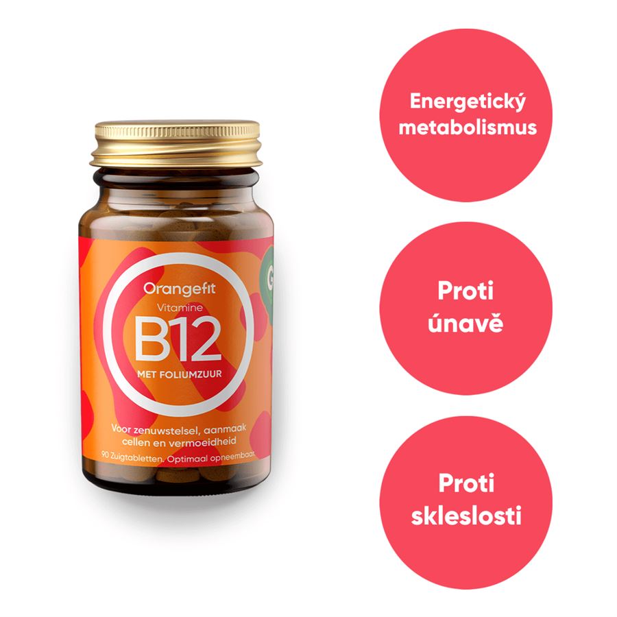 Vitamine B12 with Folic Acid 90 pastilek