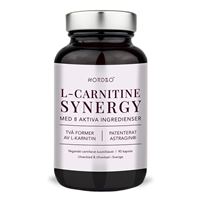 L-Carnitine Synergy 90 kapslí