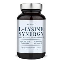 L-Lysine Synergy 90 kapslí