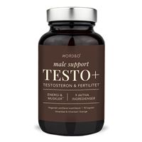 Male Support TESTO+ 90 kapslí