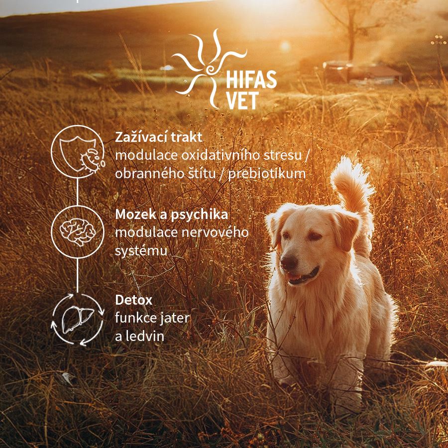 HIFAS Gut and Brain Pet 250ml