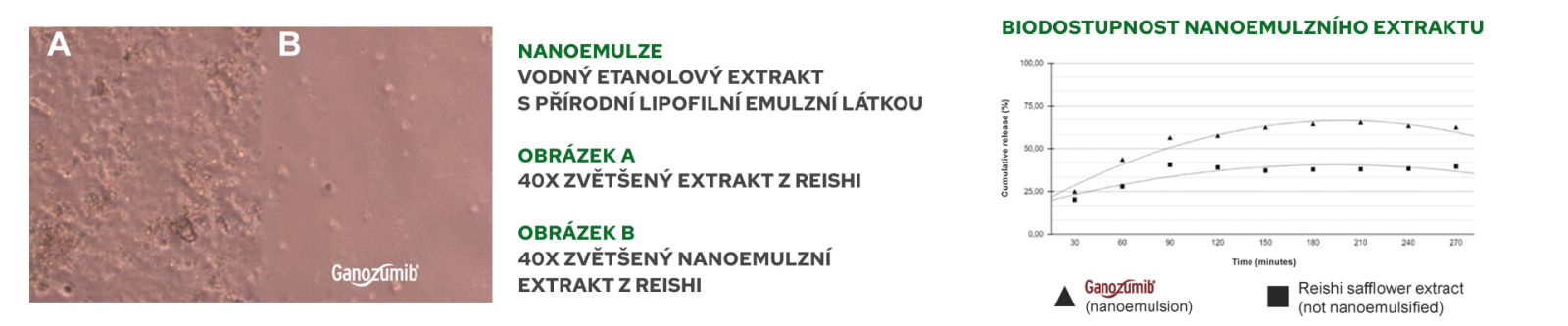 Graf znázorňující biodostupnost nanoemulzního extraktu.