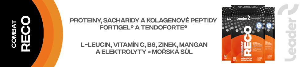 Komplexní potréninková formule - proteiny, sacharidy, kolagenové peptidy,L-Leucin, Vitamin C,B6,zinek, mangan s elektrolyty.