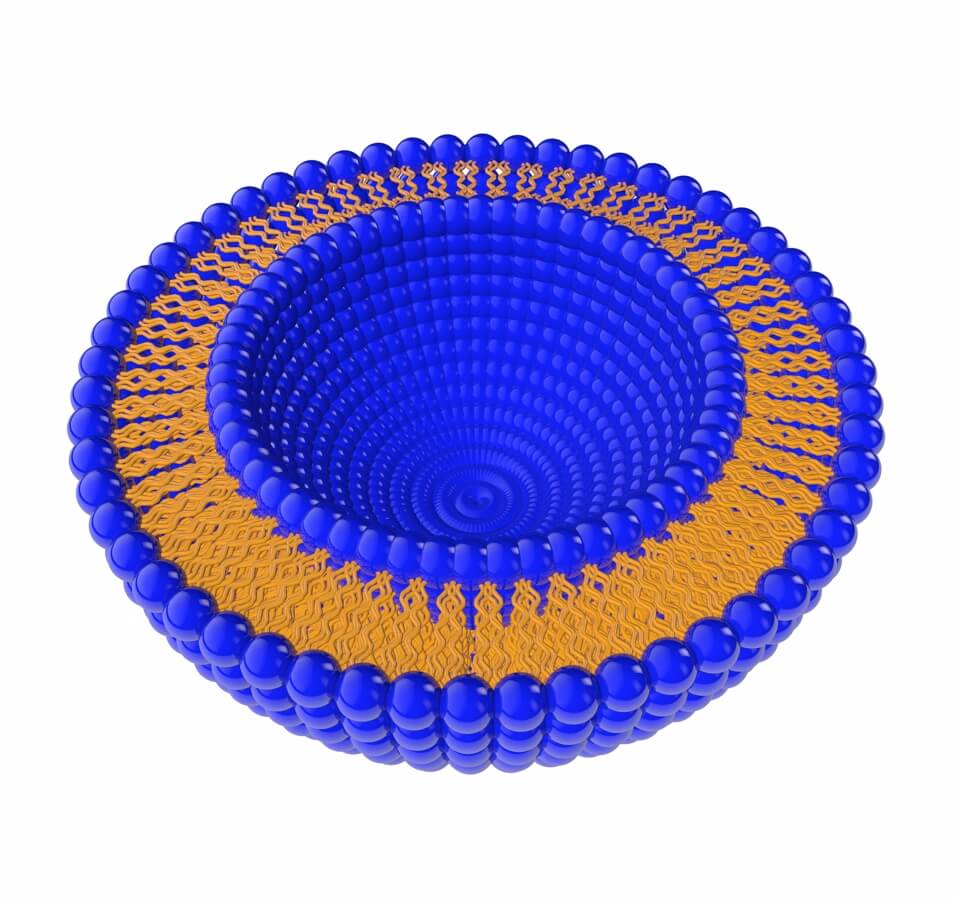 Zobrazení mikroskopické kapsle z fosfolipidů, která se podobá těm, která tvoří buněčné membrány v lidském těle, a slouží k ochraně vitamínů a minerálů při průchodu trávicí soustavou