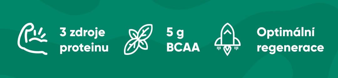 Optimální regenerace, 3 zdroje proteinu a 5g BCAA