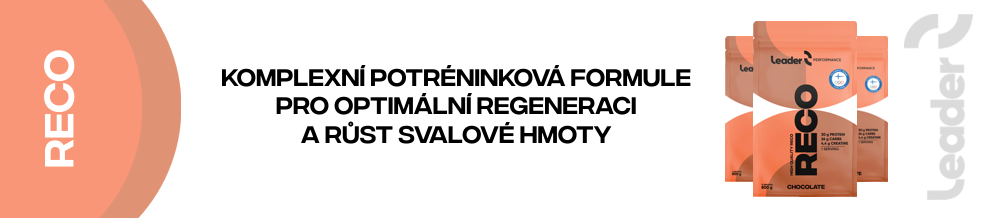 RECO Leader jako komplexní potréninková formule pro optimální regeneraci a růst svalové hmoty.