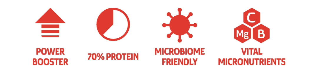 Produkt obsahuje 70% Protein  naklíčených semen, posiluje výkon s obsahem mikronutrienty.