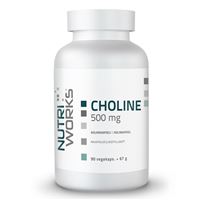 Choline 500 mg 90 kapslí