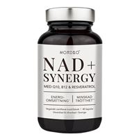 NAD+ Synergy 40 kapslí