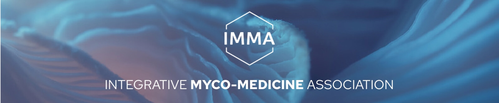 IMMA je evropský biotechnologický leader ve vývoji produktů z bioaktivních adaptogenních hub.